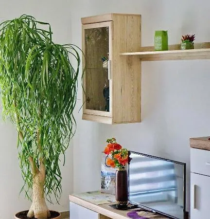 Pravica Apartment Trebinje