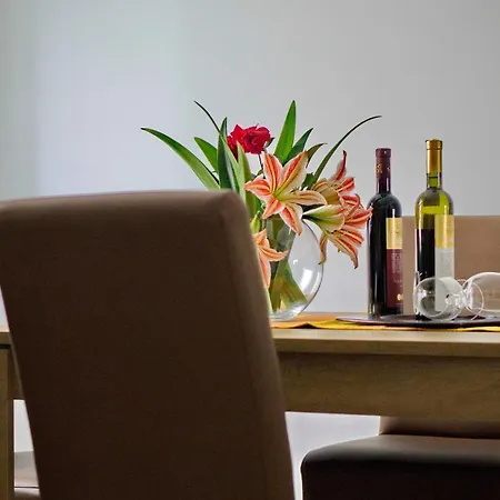 Pravica Apartment Trebinje