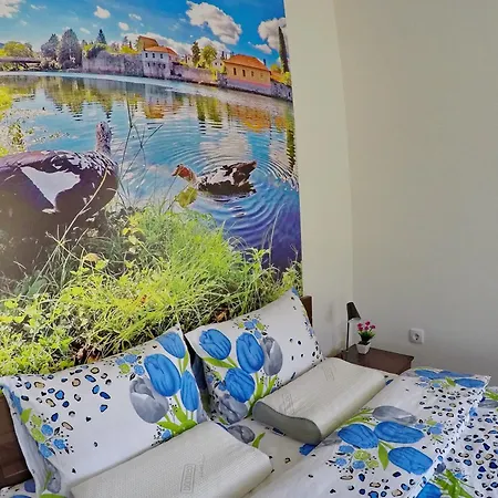 Pravica Apartment *