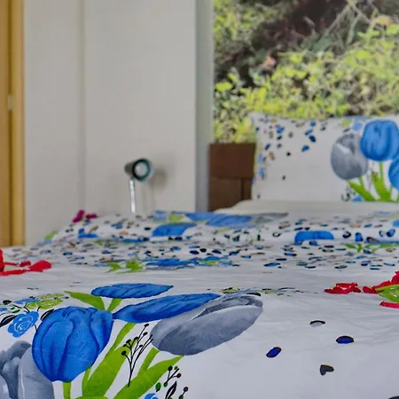 Apartament Pravica *