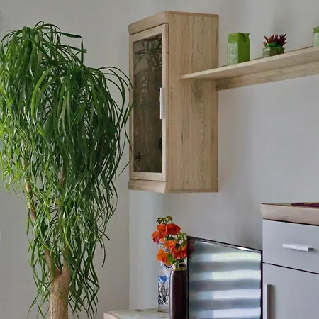 Pravica Apartment
